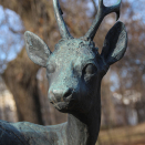 The deer was made by Arne N. Vigeland in 1953. Photo: Liv Osmundsen, The Royal Court.